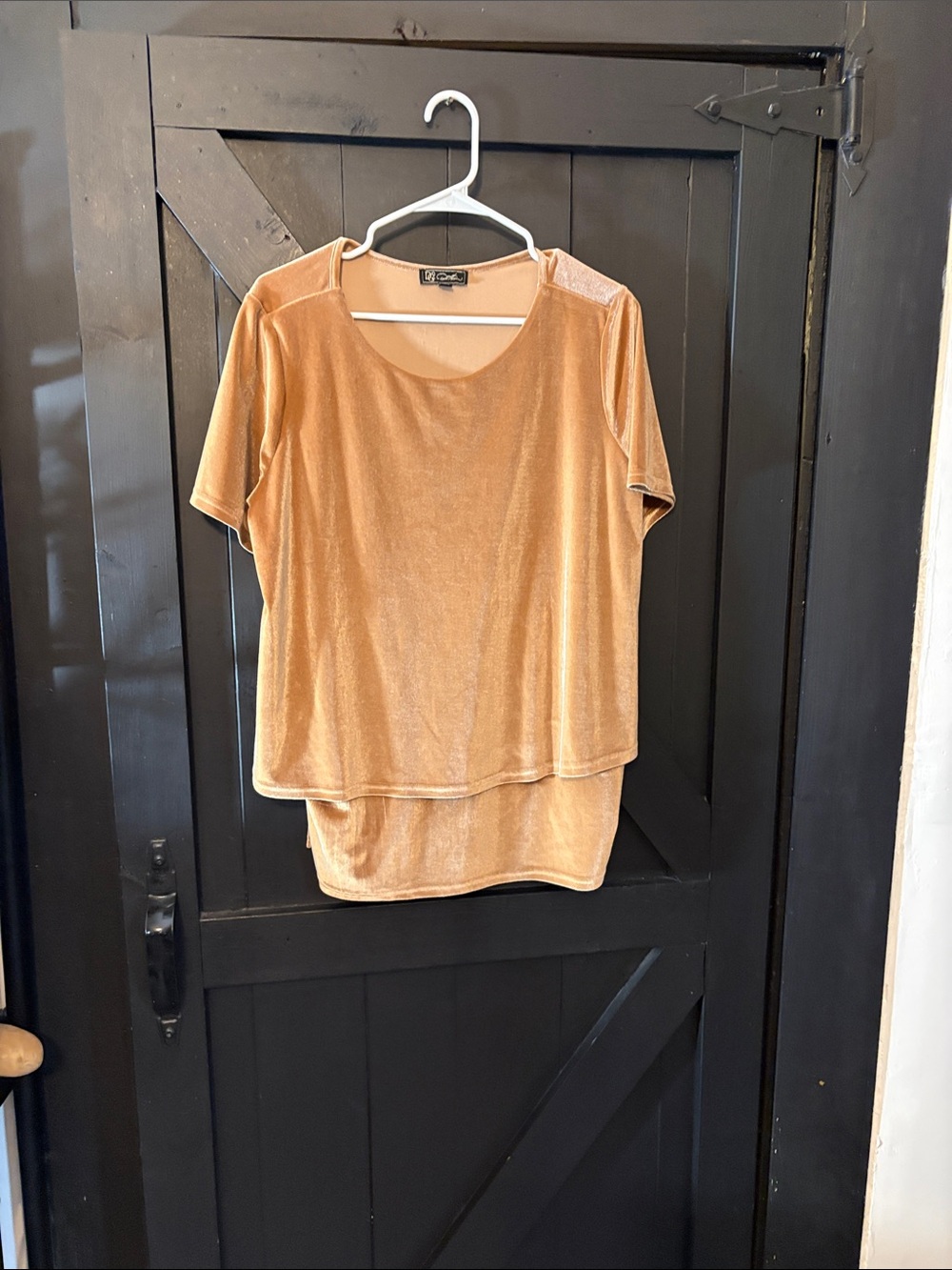 DG2 by Diane Gilman Metallic Gold Velvet Layered Short-Sleeve Top